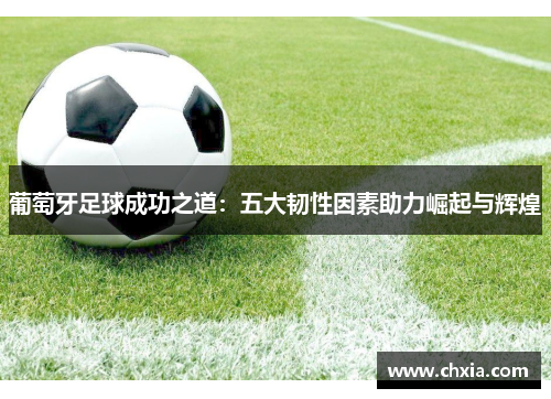 葡萄牙足球成功之道:五大韧性因素助力崛起与辉煌 葡萄牙足球成功之道:五大韧性因素助力崛起与辉煌