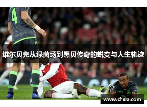 维尔贝克从绿茵场到黑贝传奇的蜕变与人生轨迹